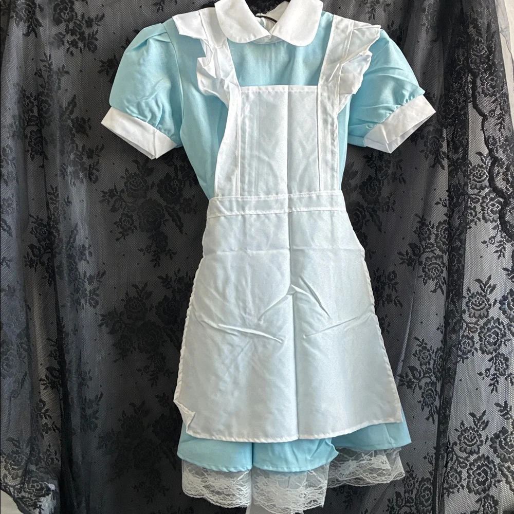 NWOT! Blue and White Maid Dress Costume